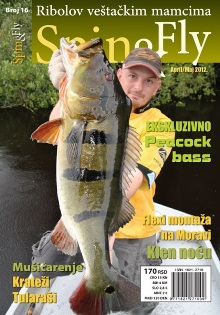 Spin&Fly 16 preview