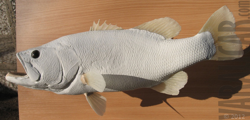 custom fish replika bass_1